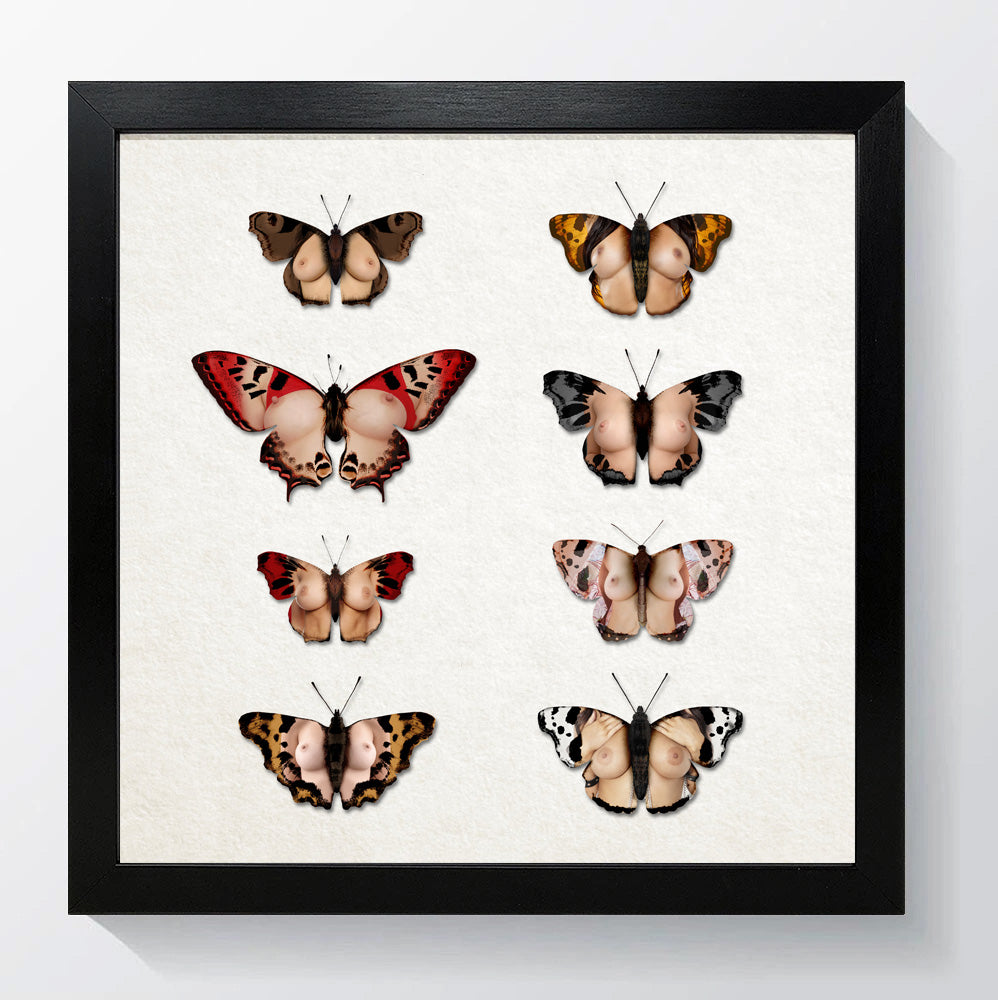 Butterfly Collection Print