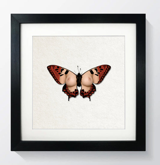 Single Butterfly Print