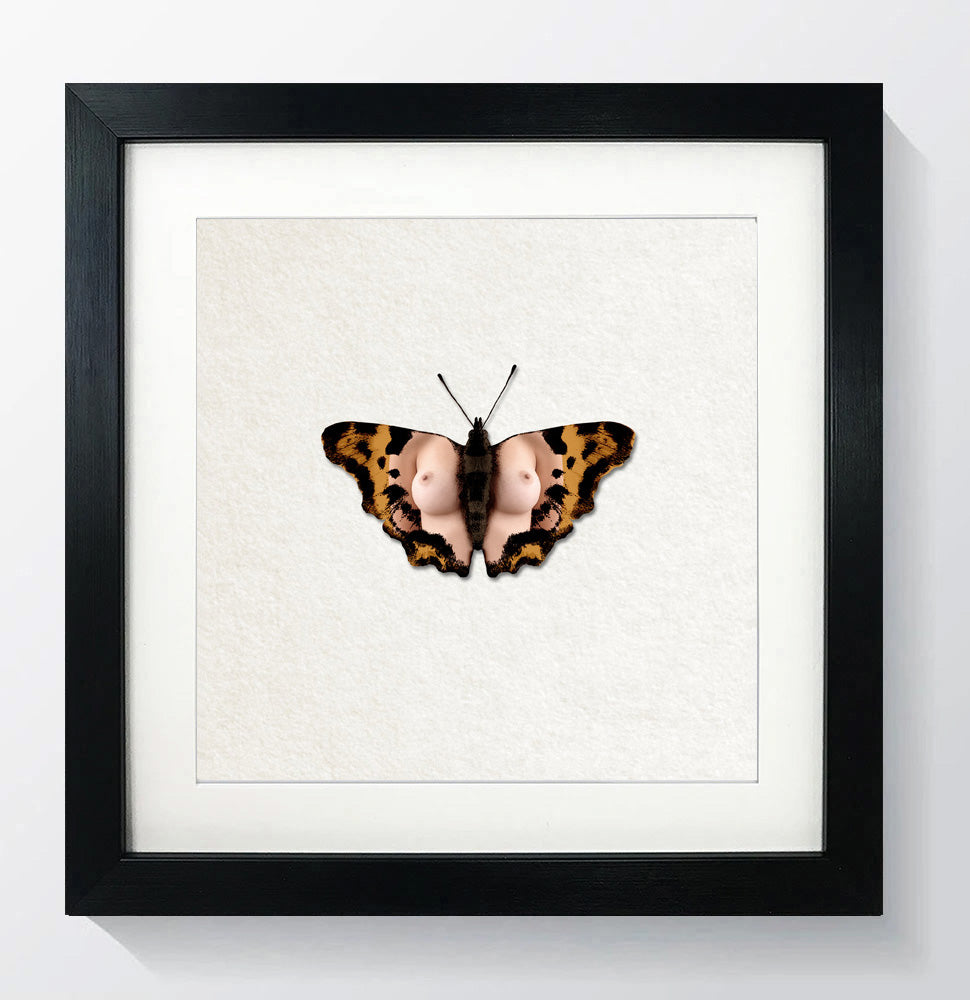 Single Butterfly Print