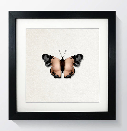 Single Butterfly Print